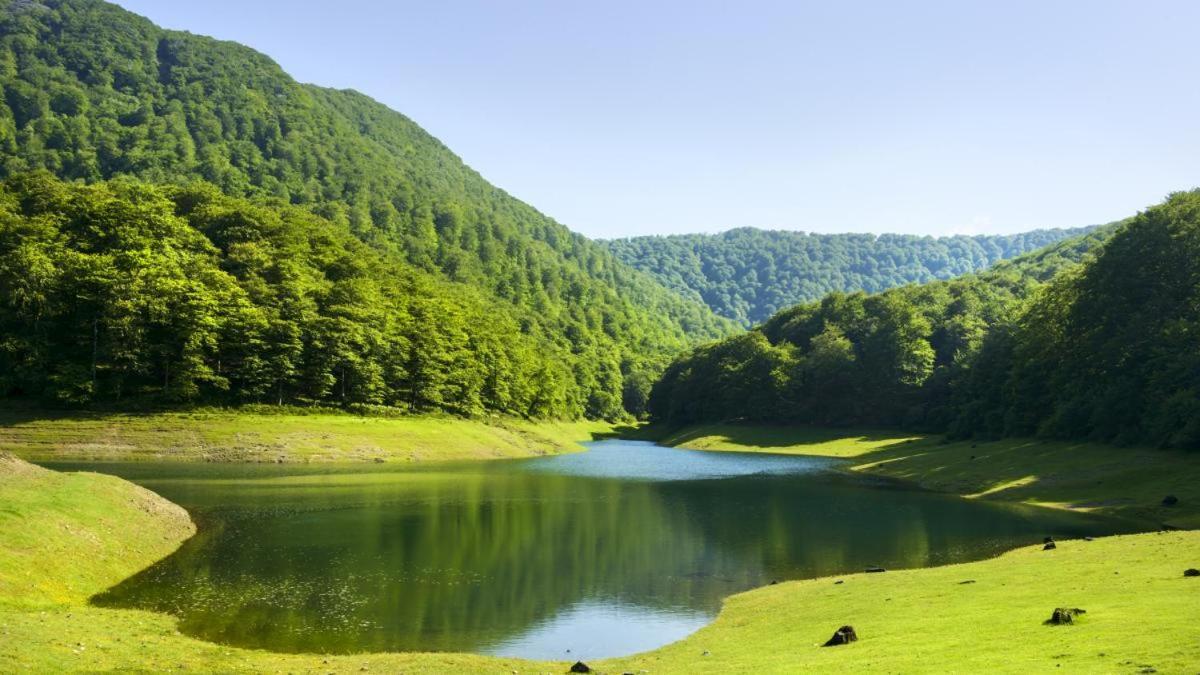 Casa Rural Arotzenia, Hogar Rustico En Pleno Valle De La Ulzama Lizaso Exteriör bild