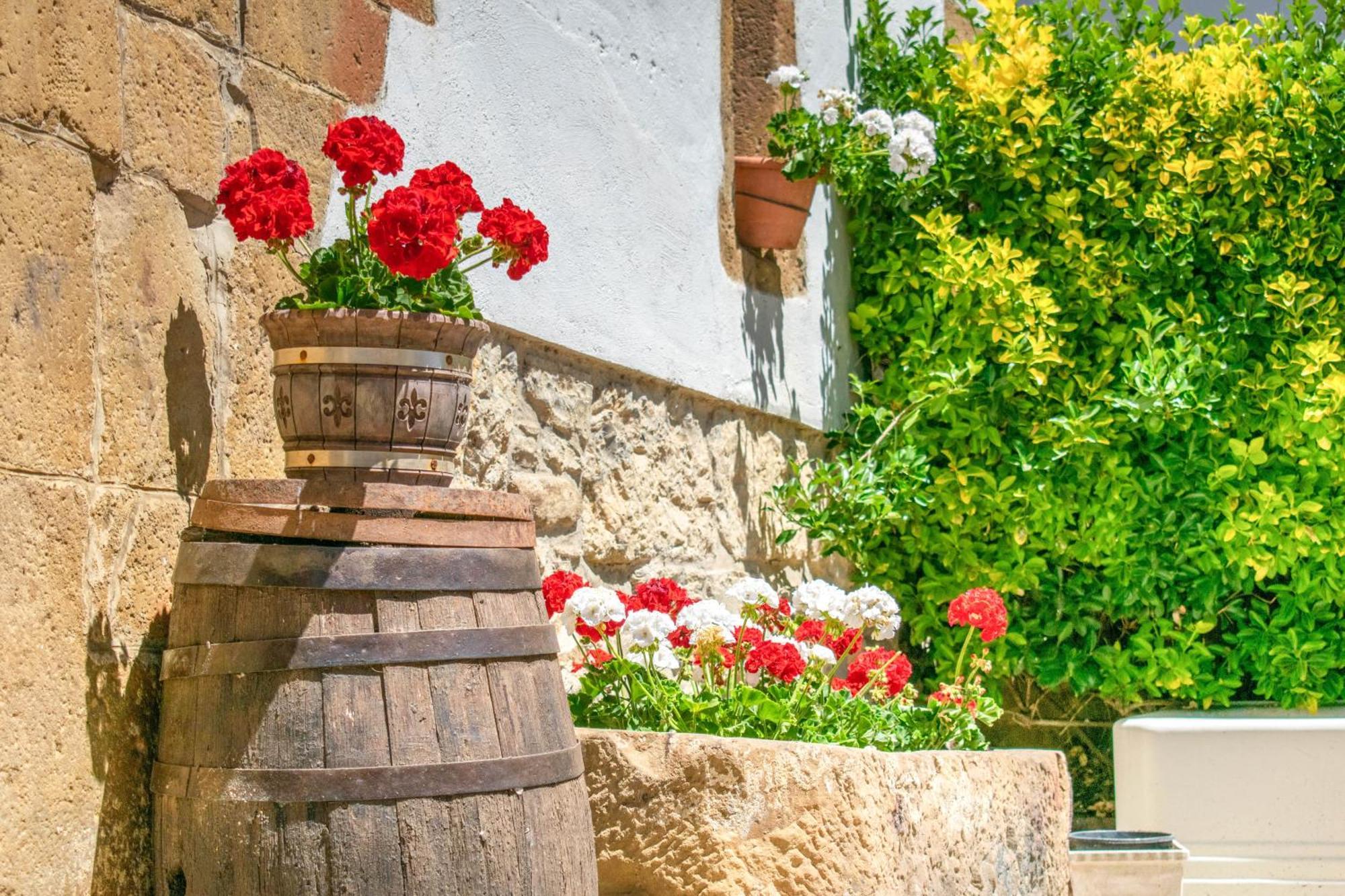 Casa Rural Arotzenia, Hogar Rustico En Pleno Valle De La Ulzama Lizaso Exteriör bild